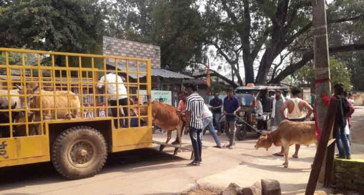 नई टीम का गठन: रोका छेका एवं सम्पत्ति विरूपण के लिए कदम उठाने के लिए कदम उठाया गया