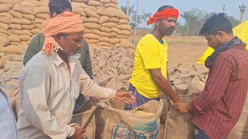 विष्णु सरकार की नीतियों से किसानों को राहत, धान बेचने पर समय पर भुगतान