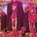 मां बिरासिनी धाम बिलासपुर में मातारानी के दर्शन के लिए दर्शनार्थियों की लगी भीड़