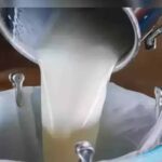 31 जिलों की महिलाओं ने किया पांच हजार करोड़ का दूध का कारोबार