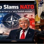 यूरोप बनेगा आत्मनिर्भर! अमेरिका को किया अलग-थलग, ‘यूरोपियन NATO’ बनाने की हो रही तैयारी