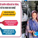 योगी सरकार संवार रही ग्रामीण महिलाओं का जीवन, मशरूम उत्पादन से 10 लाख तक कमाई