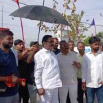 नदावां महादंगल में भिड़ेंगे तीन देशों के पहलवान, लाखों लोगों के लिए शाही भोज और कुश्ती का भव्य आयोजन