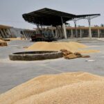 बेमौसम बारिश से परेशान गेहूं किसानों को डबल इंजन सरकार ने दी बड़ी सुविधा