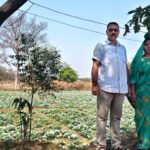 रायपुर : कुआं बना जीवन में बदलाव की वजह, अब सालभर खेती