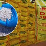 खाड़ी युद्ध से भारत में खाद संकट की आशंका, जुलाई-अगस्त में उर्वरक की सप्लाई पर पड़ सकता है असर