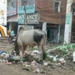 हरियाणा में घर-घर RFID टैग: कचरा उठान पर अब डिजिटल निगरानी