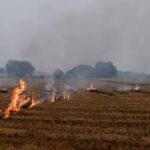 पंजाब में आग से गेहूं की फसल को नुकसान: PWD मंत्री ने मौके पर पहुंचकर लिया जायजा