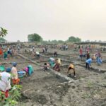 सर्वाधिक परिवारो को रोजगार, सर्वाधिक मानव दिवस का रोजगार सहित सर्वाधिक दिव्यांगजनों को रोजगार देने के मामले में कबीरधाम प्रदेश में प्रथम स्थान पर