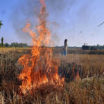इस बार गेहूं अवशेष जलाने वालों पर केंद्र की कड़ी नजर, 10,500 अधिकारी तैनात, सैटेलाइट से होगी निगरानी