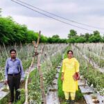 राष्ट्रीय कृषि विकास योजना: ईश्वरी प्रसाद ने टमाटर उत्पादन से कमाए 02 लाख 90 हजार रूपए