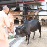 सीएम योगी के निर्देश पर चार बड़ी महत्वाकांक्षी योजनाएं पूरे प्रदेश में लागू, ग्रामीण अर्थव्यवस्था को मिलेगी नई ताकत