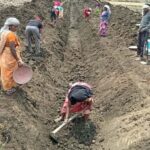जल गंगा संवर्धन अभियान-पुष्पराजगढ़ में ‘जल गंगा संवर्धन अभियान’ से हो रहा है नहर सुदृढ़ीकरण