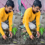 इंदौर संभागीय अध्यक्ष ओम प्रकाश ठाकुर ने आम के वृक्ष देवास में लगाए
