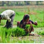 झारखंड में किसानों के लिए बड़ा फैसला, भूमि संरक्षण योजनाओं पर मंत्री ने दिखाई सख्ती