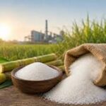 भारत में चीनी के दाम क्यों बढ़े? क्या इथेनॉल उत्पादन है बड़ी वजह