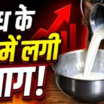त्योहारों से पहले महंगाई का झटका! दूध के दाम सीधे ₹9 बढ़े, जानें नई कीमतें कब से लागू