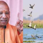 यूपी की सात और वेटलैंड बनेंगी रामसर साइट, अंतरराष्ट्रीय पहचान मिलने से बढ़ेगा संरक्षण