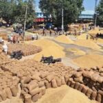 हरियाणा राइस मिलर्स को मुख्यमंत्री की बड़ी राहत, बोनस और समाधान का भरोसा