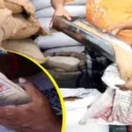 हरियाणा में राशन कार्ड पर बड़ा अपडेट, 6 महीने तक गेहूं-चावल नहीं लिया तो कार्ड हो सकता है बंद