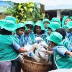 CBSE Schools: स्वच्छता और पर्यावरण संरक्षण पर मिलेगी स्कूलों को रेटिंग, 30 सितंबर तक करें आवेदन