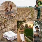 हरियाणा के बागवानी विभाग में 100 करोड़ के घोटाले पर 13 साल बाद FIR, खेतों में नहीं मिला एक भी पौधा