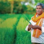 किसानों के लिए बड़ी राहत, मोबाइल से फोटो भेजकर पता चलेगी फसल की बीमारी