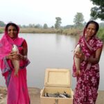 विष्णु भैया की पहल से तालाब बना महिलाओं की तरक्की का आधार