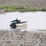 बड़ा तालाब में कीटनाशक छिड़काव पर NGT सख्त, कलेक्टर और नगर निगम को नोटिस