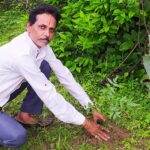 शहडोल संभागीय अध्यक्ष प्रकाश सोनी ने लगाए नीम के पौधे
