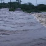 MP-छत्तीसगढ़ का संपर्क टूटा, शहडोल में बारिश बनी आफत; बाणसागर के 8 गेट खुले