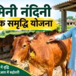 गोरखपुर में मिनी नंदिनी योजना का बढ़ा दायरा, 20 नए लाभार्थी जुड़े; संख्या 26 हुई