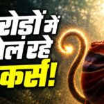 ₹1.5 करोड़ की फिल्म ने कमाए ₹366 करोड़, प्रोड्यूसर को मिल सकते हैं ₹50 करोड़!