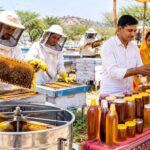 राजस्थान में 17.5 करोड़ से बनेंगे मधुमक्खी एक्सीलेंस सेंटर, युवाओं को मिलेगा प्रशिक्षण और रोजगार