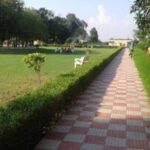 झज्जर के पार्कों का होगा कायाकल्प, ₹1.58 करोड़ से बढ़ेगी हरियाली