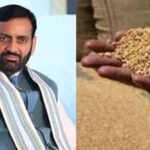 हरियाणा में ₹2900 क्विंटल में खरीदा जाएगा बाजरा