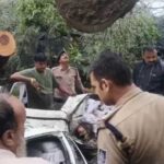 इंदौर में दर्दनाक हादसा: कार पर गिरा पेड़, डिप्टी कलेक्टर की मां की मौत; दो घायल