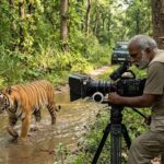 रणथंभौर की ‘मछली’ के बाद यूपी के जंगलों पर नल्ला मुथु की नजर, वन विभाग ने खोला नया प्लान
