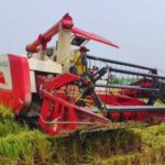 कुरुक्षेत्र में मौसम ने ली करवट, अगले सप्ताह आसमान रहेगा साफ; धान कटाई को मिलेगी रफ्तार