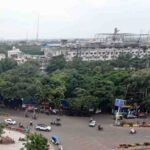इंदौर में 182 हरे-भरे पेड़ों की कटाई को हाई कोर्ट की सशर्त मंजूरी, हजारों पक्षी होंगे प्रभावित