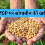 सोयाबीन उपार्जन के लिए किसानों का पंजीयन 3 से 17 अक्टूबर तक