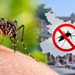 बिहार में डेंगू पर बड़ी राहत! इस साल अब तक एक भी मौत नहीं, मामलों में भी भारी गिरावट