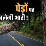 भोपाल मास्टर प्लान 2047 पर पर्यावरण की चिंता, 791 किमी सड़क नेटवर्क के लिए 2.89 लाख पेड़ों पर खतरा