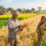 हरियाणा के किसानों के लिए बड़ी राहत, अक्टूबर में मिलेगी 7.50 लाख मीट्रिक टन खाद; DAP-यूरिया की कमी होगी दूर