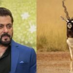 ‘काला हिरण’ फिल्म विवाद में सलमान खान से जवाब तलब, दिल्ली हाईकोर्ट में फिर गरमाया