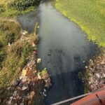 CG हाईकोर्ट की सख्ती, पूछा- 4 STP से कैसे साफ होगा अरपा नदी में गिरने वाले 70 नालों का पानी?