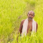 कृषक उन्नति योजना से शंकर प्रसाद की खेती को मिलेगा आर्थिक संबल, तीन एकड़ में सुगंधित धान की खेती पर मिलेंगे 45 हजार रुपये