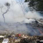मोहाली में स्वराज ट्रैक्टर फैक्टरी के पास झाड़ियों में लगी आग, दमकल की कई गाड़ियां पहुंचीं