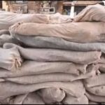 धार में गांजा तस्करी पर पुलिस की कार्रवाई, 6863 पौधे जब्त; एक गिरफ्तार, कई फरार