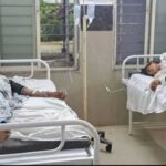 माता की मूर्ति विसर्जन यात्रा में मधुमक्खियों का हमला, मची भगदड़; 25 लोग घायल, 13 अस्पताल में भर्ती
